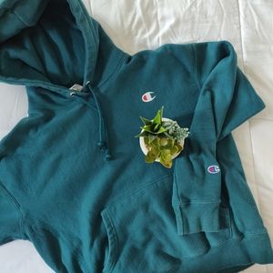 Champion reverse weave hoodie (vintage)